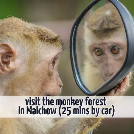 Mit Balkon - Hunde Willkommen - Wiesengeflüster Röbel