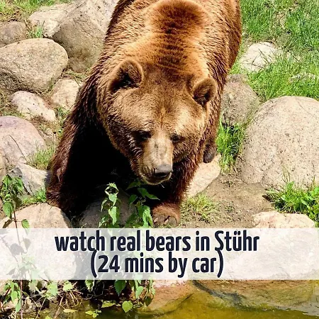 Apartment Mit Balkon - Hunde Willkommen - Wiesengeflüster *