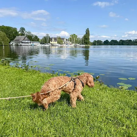 Apartmán Mit Balkon - Hunde Willkommen - Wiesengefluester Röbel